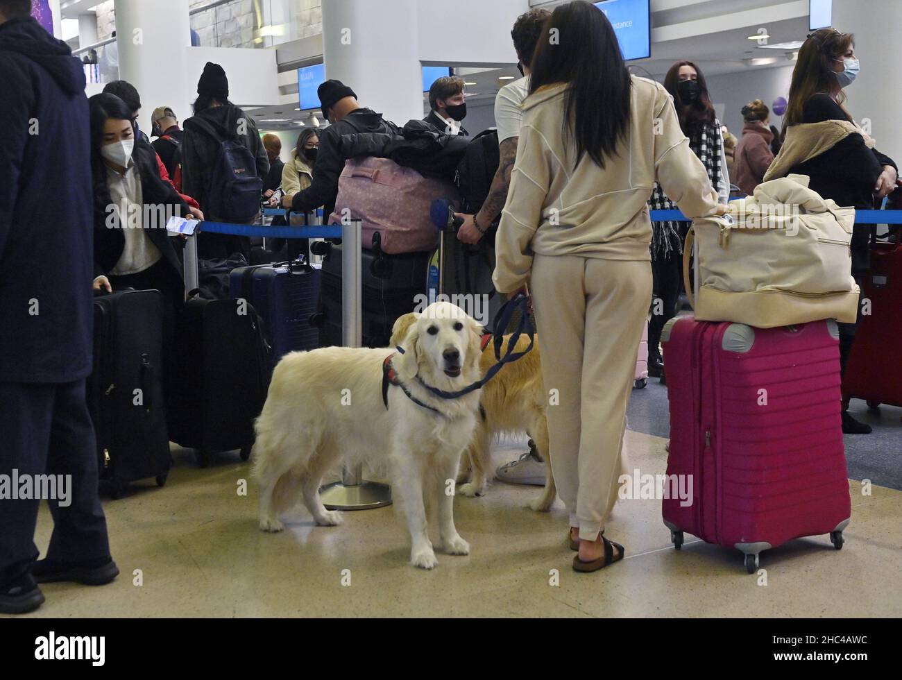 Los Angeles, États-Unis.24th décembre 2021.Les voyageurs de Noël arrivent au terminal international Tom Bradley de LAX à Los Angeles le jeudi 23 décembre 2021.LES responsables LAXISTES s'attendent à ce que 3,5 millions de personnes passent par ses portes cette période des fêtes.Photo de Jim Ruymen/UPI crédit: UPI/Alay Live News Banque D'Images
