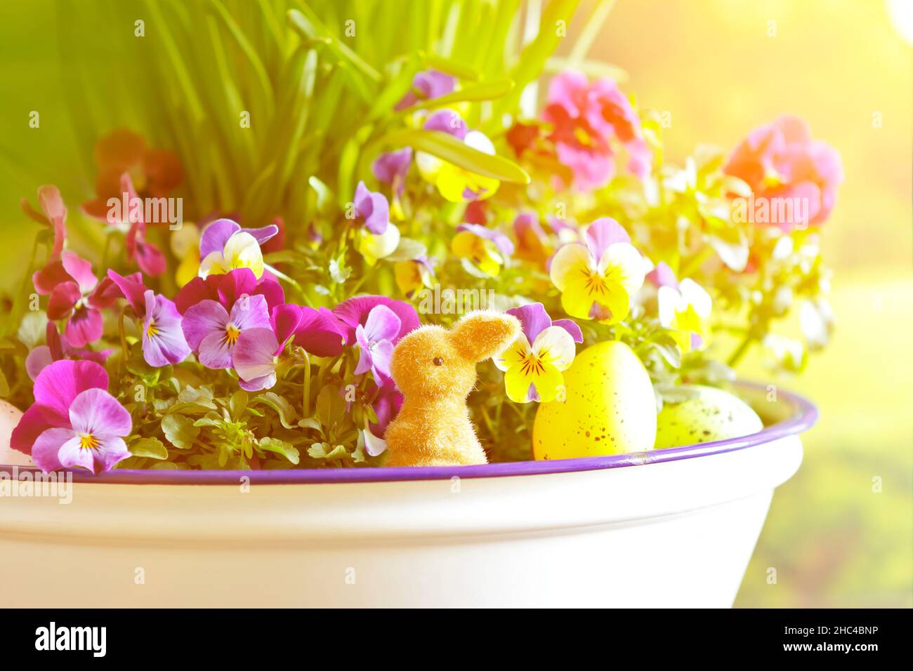 Gros plan d'une joyeuse décoration de Pâques avec un petit lapin, des œufs de couleur et des fleurs de pansy très colorées en pleine fleur. Banque D'Images