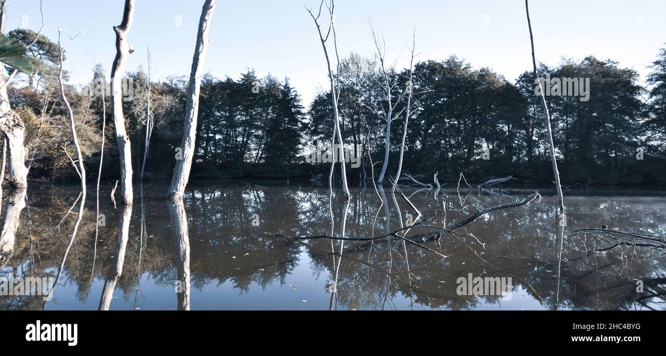 Etang de Gaillères, ruisseau du Penin Banque D'Images