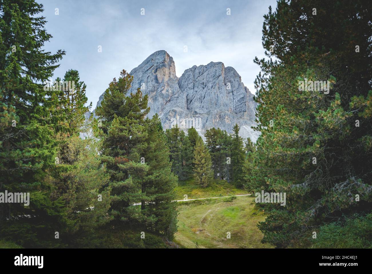 sommets de peitlerkofel dans les dolomites vus de la forêt Banque D'Images