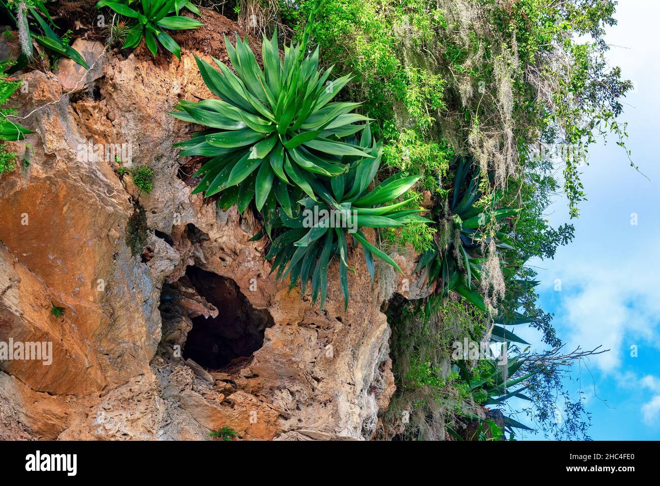 Paysages dans la réserve naturelle de Hanabanilla Cuba Banque D'Images