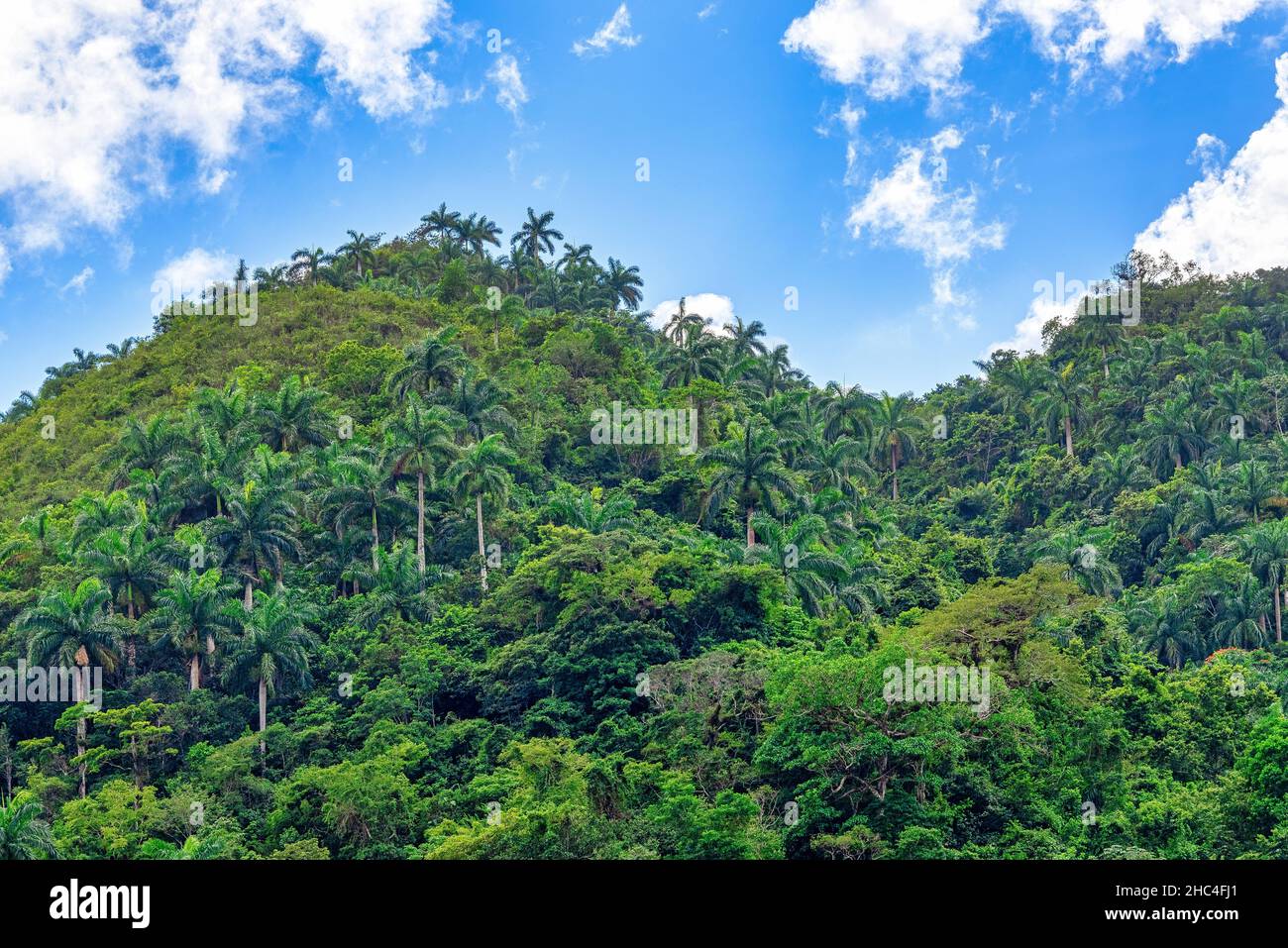 Paysages dans la réserve naturelle de Hanabanilla Cuba Banque D'Images