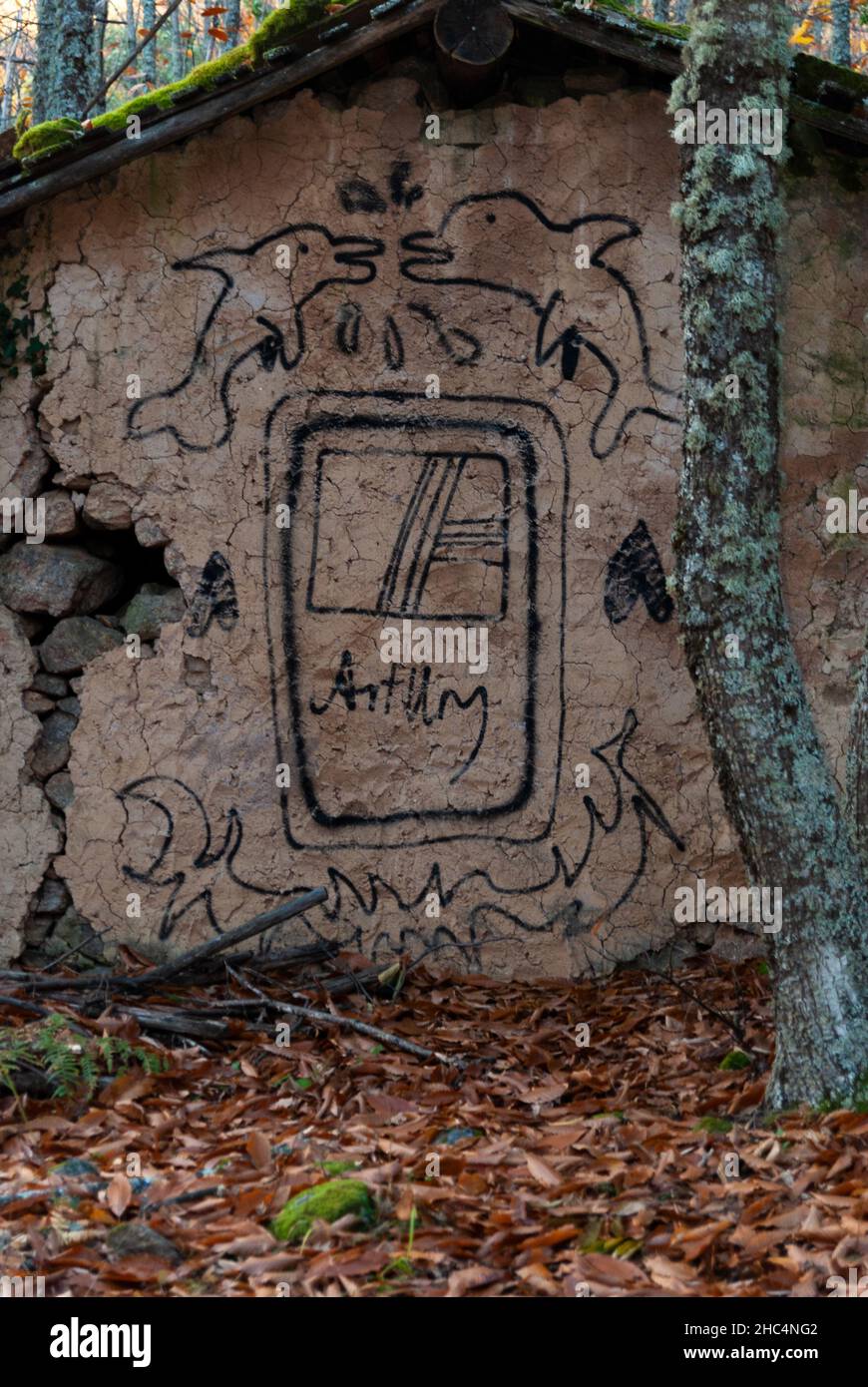 Graffitis sur une maison abandonnée en forêt en automne avec des feuilles et de la mousse tombées Banque D'Images