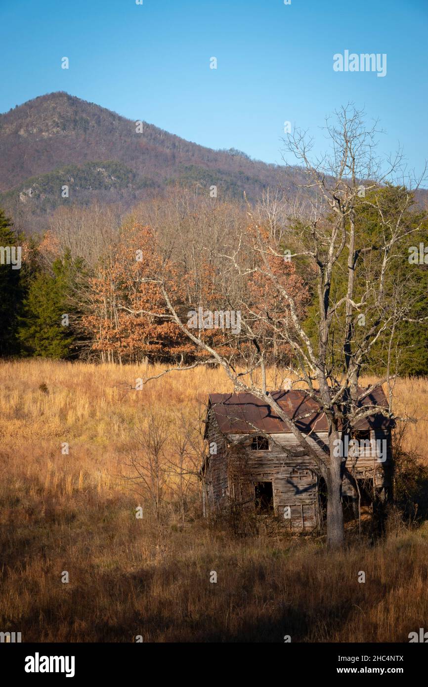 USA Virginia Luray page County une ancienne maison en bois abandonnée délabrée et en train de tomber en morceaux Banque D'Images