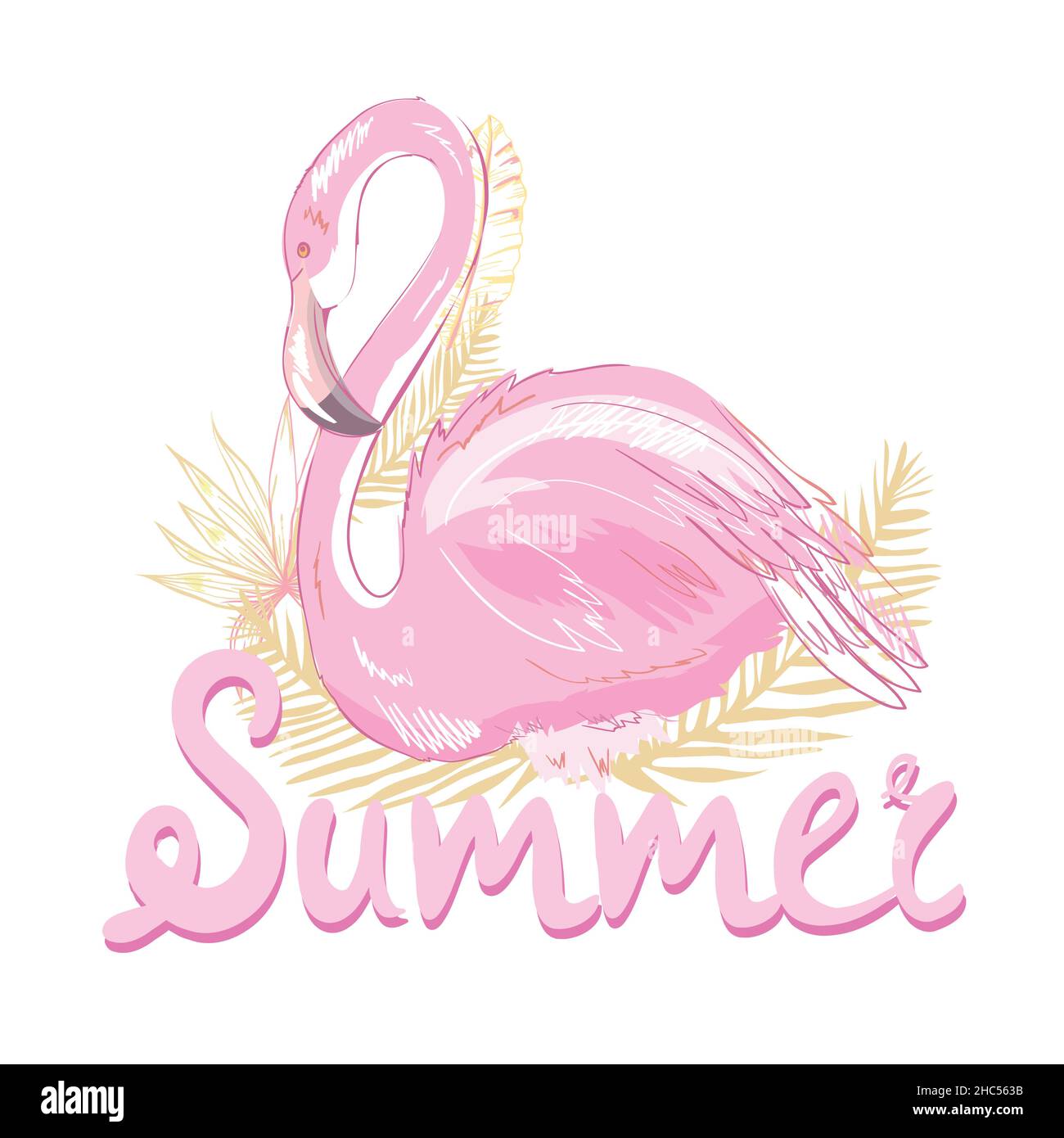 Flamant rose vector illustration Illustration de Vecteur
