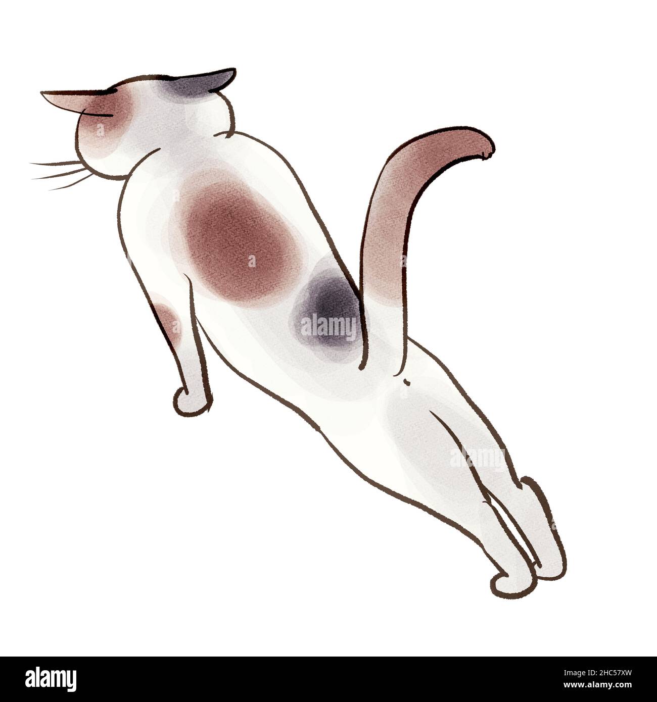 illustration d'un chat calico assis et relaxant, vue arrière Banque D'Images