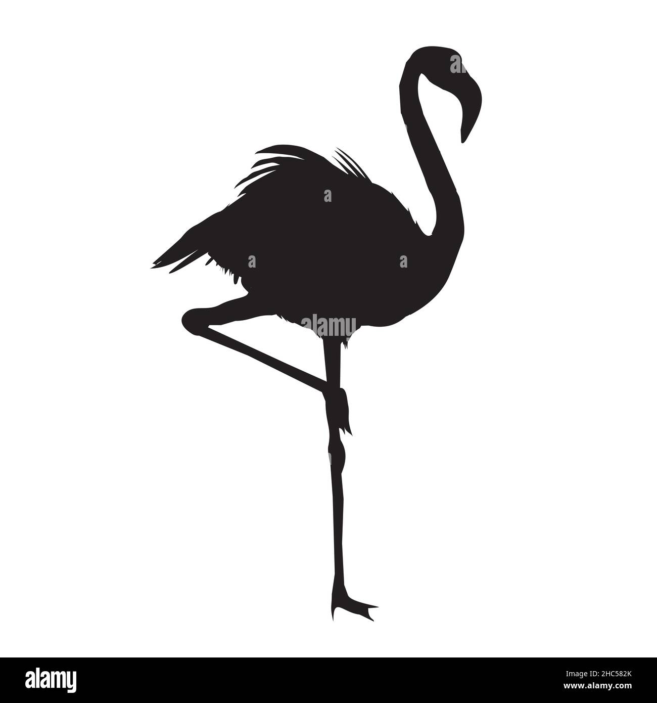 Silhouette Flamingo , fichier vectoriel d'oiseau, illustration Illustration de Vecteur