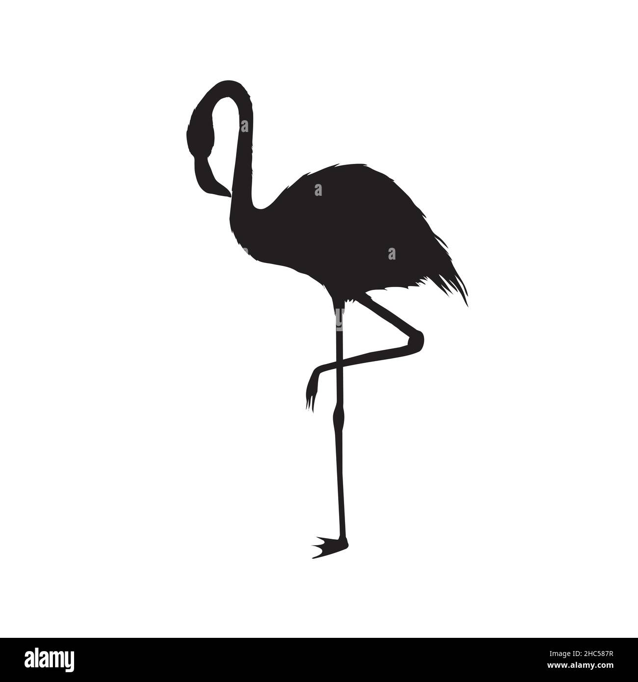 Silhouette Flamingo , fichier vectoriel d'oiseau, illustration Illustration de Vecteur