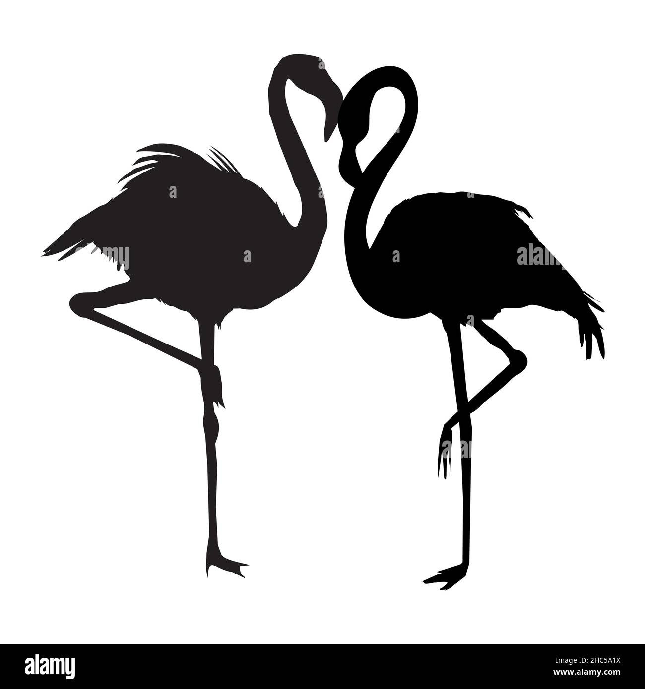 Silhouette Flamingo , fichier vectoriel d'oiseau, illustration Illustration de Vecteur