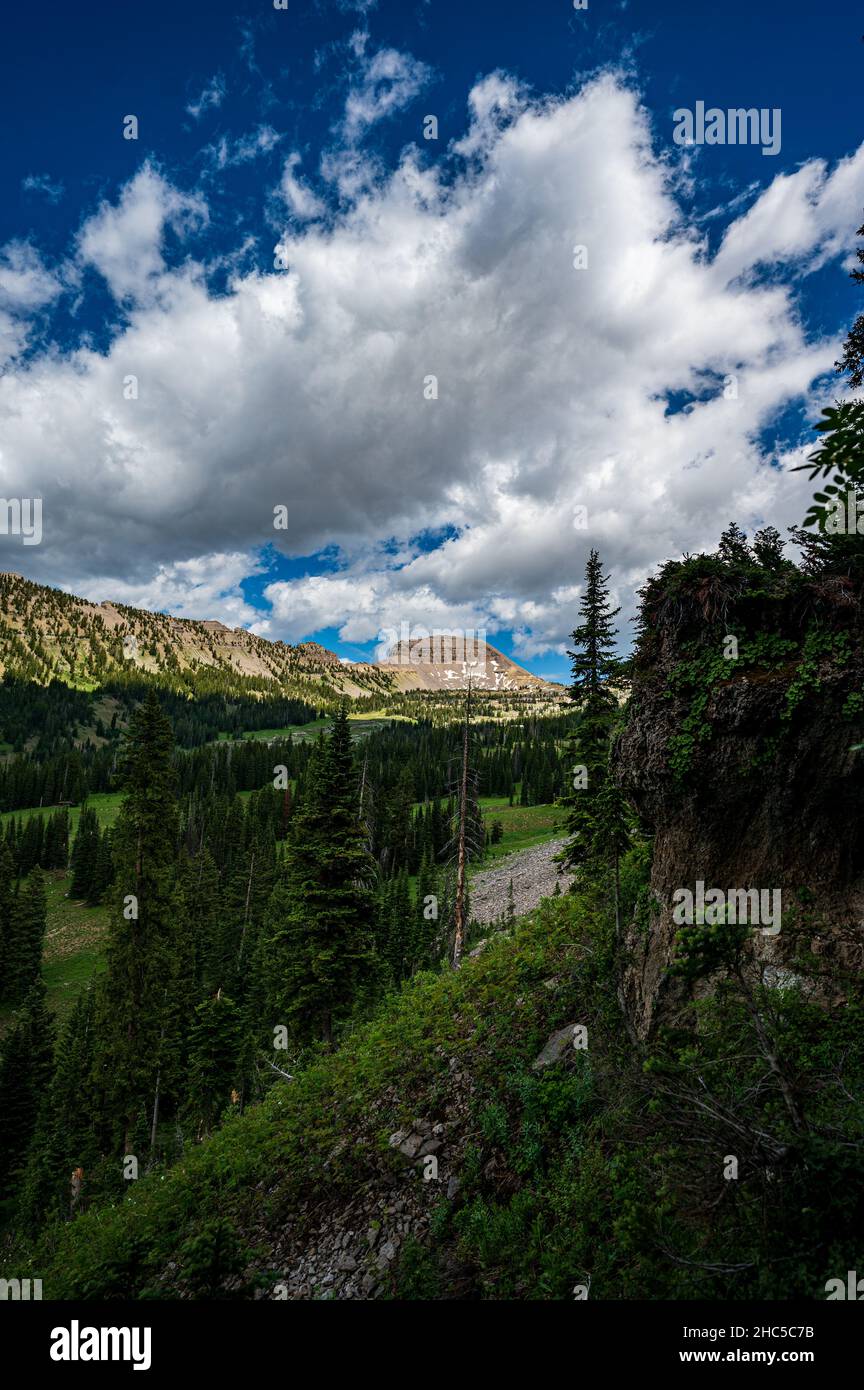 Darby Canyon à Victor Idaho, États-Unis Banque D'Images