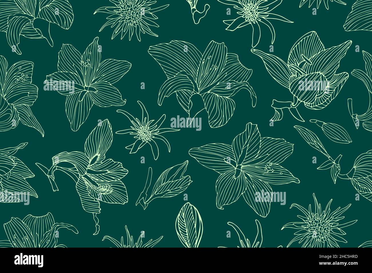 Motif Art floral vectoriel sans coutures.Fleurs légères d'hippeastrum et de tragopogon Illustration de Vecteur