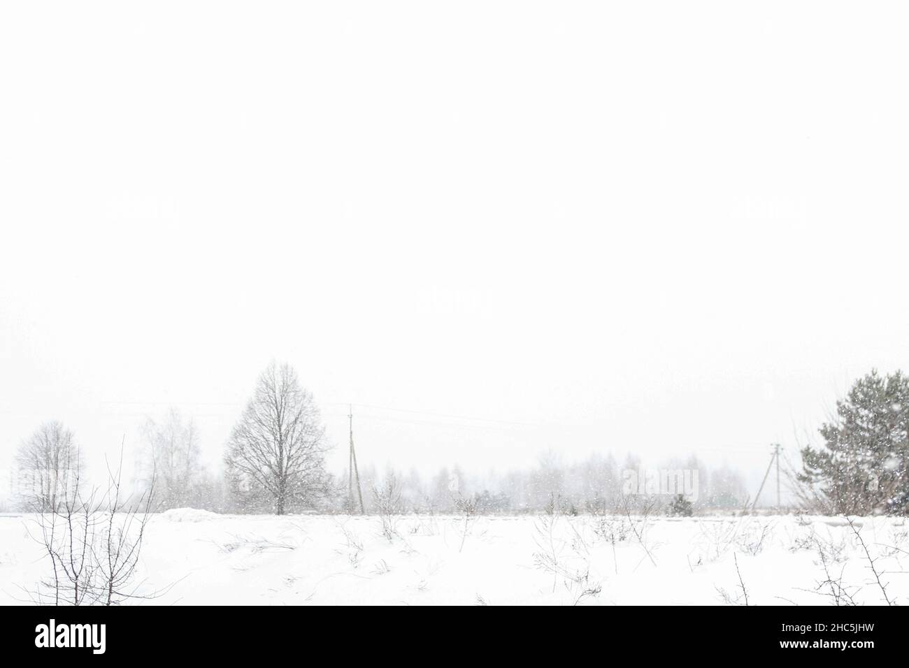 Paysage minimaliste en hiver enneigé.Matin d'hiver glacial.Concept d'arrière-plan par temps froid.Scène mystérieuse d'hiver : silhouettes d'arbres sombres Banque D'Images