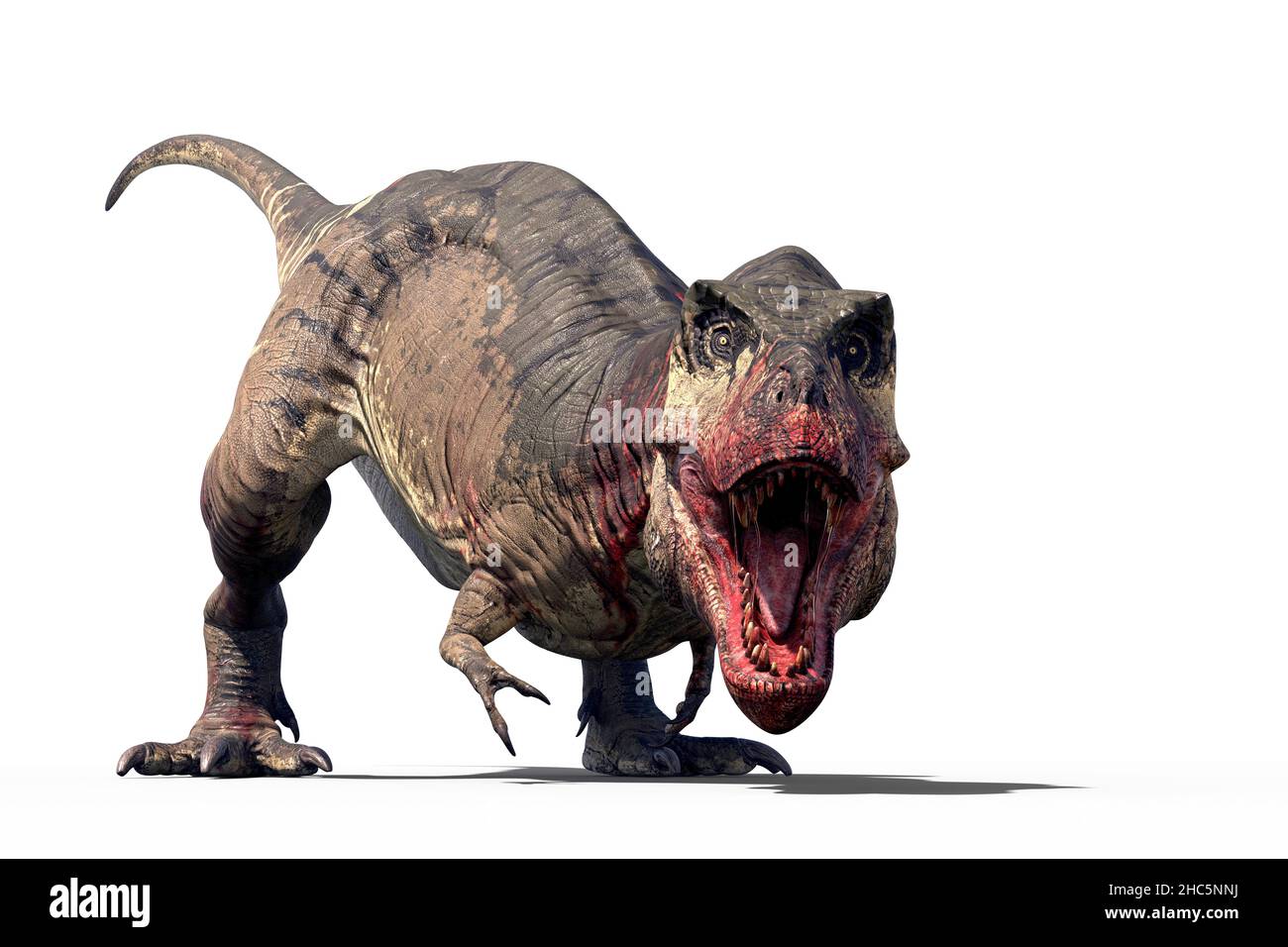 Tyrannosaurus rex dinosaure, illustration.Ce dinosaure de théropode bipédale était l'un des plus grands prédateurs de l'histoire, mesurant plus de 12 mètres de longueur de la tête à la queue et pesant jusqu'à 8 tonnes.On pense qu'il a combiné la chasse et l'évacuation pour se nourrir.Ses fossiles sont trouvés en Amérique du Nord et datent d'il y a environ 67 millions d'années, pendant la période du Crétacé.Souvent connu sous le nom de T-Rex. Banque D'Images