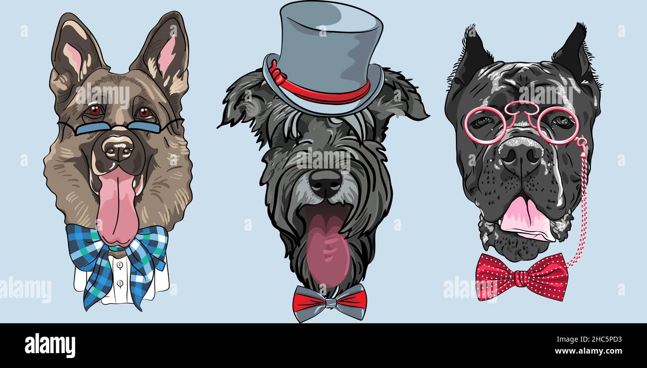 Ensemble de chien hippster berger allemand, Schnauzer et Cane Corso race dans un chapeau, des lunettes et un noeud papillon Illustration de Vecteur