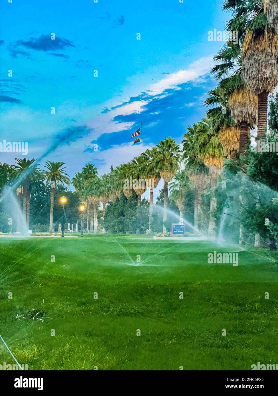 Plan vertical de gicleurs d'eau arrossant les plantes et les palmiers dans un parc Banque D'Images