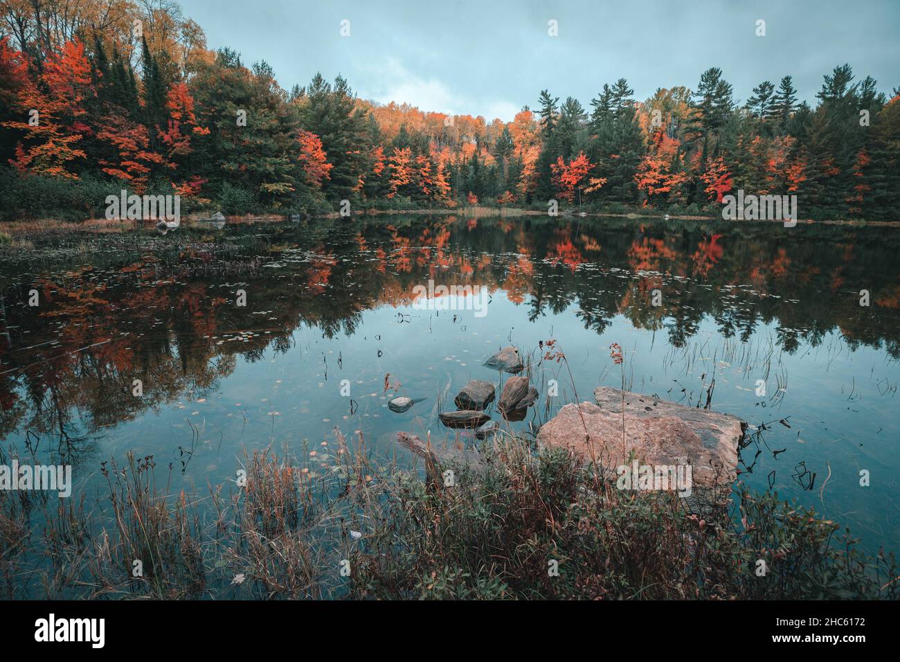 Photo hypnotique d'un petit lac forestier entouré de sapins en automne Banque D'Images