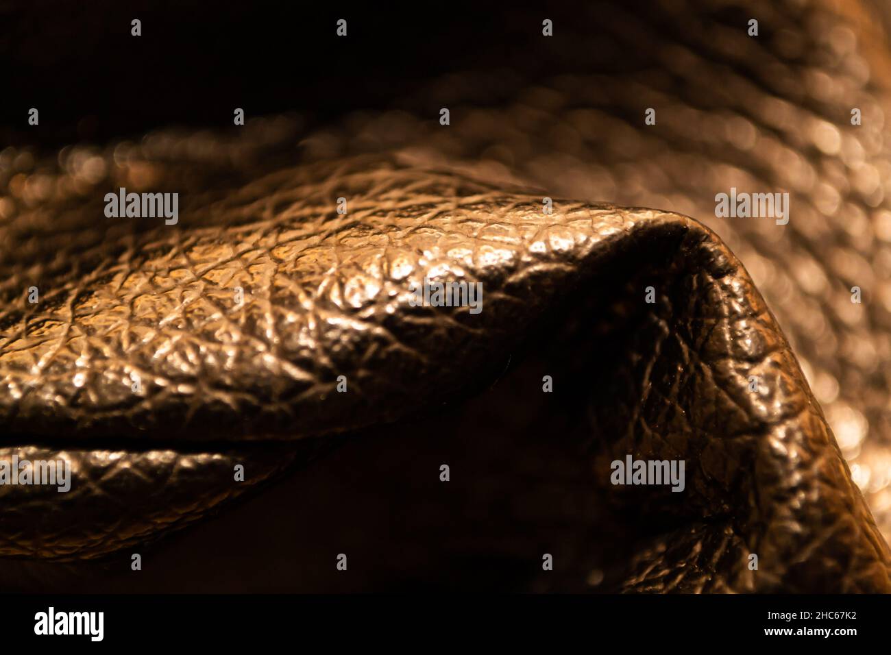 Mise au point sélective en cuir marron avec éclairage chaleureux Banque D'Images