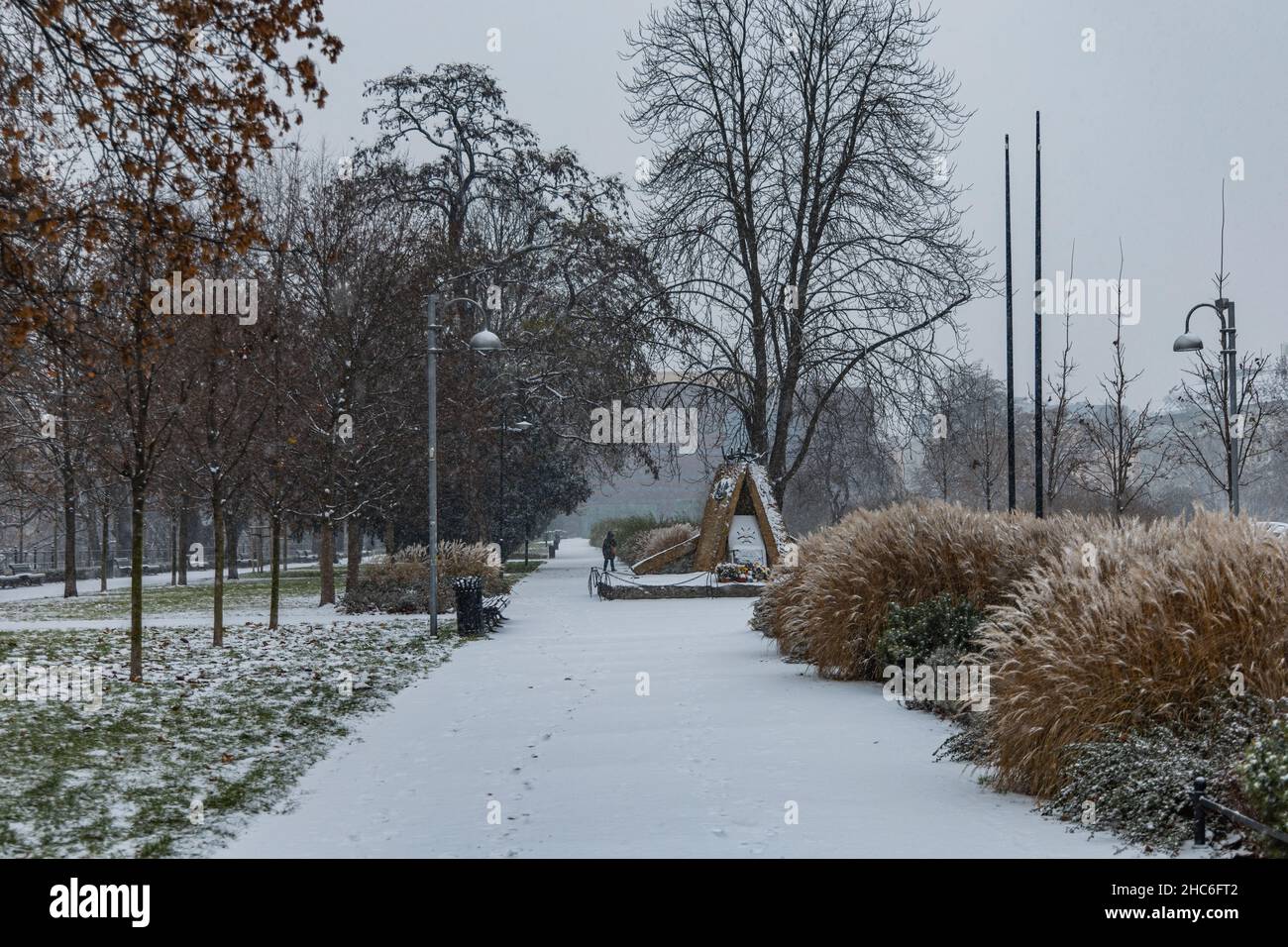 Wroclaw, Pologne - décembre 3 2020 : allée enneigée dans le parc à côté de la promenade pleine d'arbres et de buissons Banque D'Images