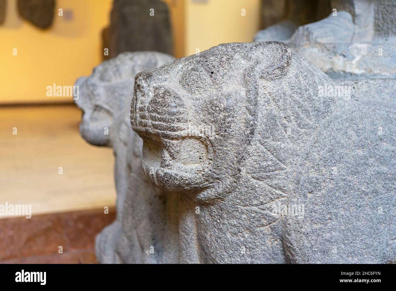 Tête du lion de pierre qui gardait autrefois l'entrée du palais Hittite tardif à Zincirli (Samal), 9th siècle avant J.-C. Banque D'Images