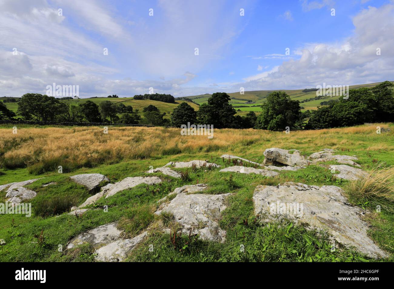 Vue sur les collines près du village West Woodburn, Northumberland, Angleterre Banque D'Images