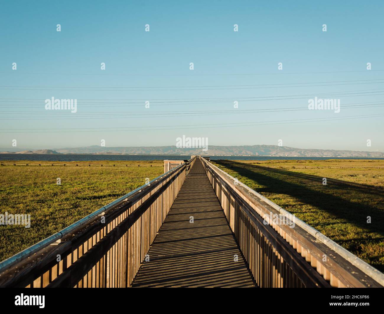 Sentier de promenade de Marsh à la réserve naturelle de Baylands, à Palo Alto, en Californie Banque D'Images