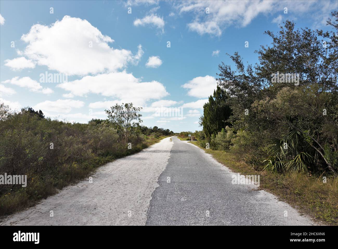 Un sentier de randonnée à Robinson Preserve à Bradenton, en Floride. Banque D'Images