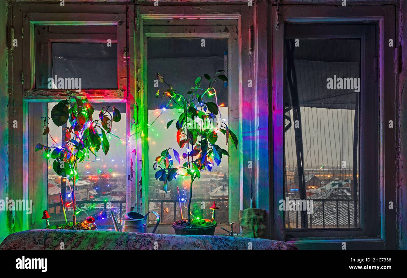 Nouvel an et Noël arbres en pot insolites décorés de lumières colorées et de champignons sur un rebord de fenêtre Banque D'Images