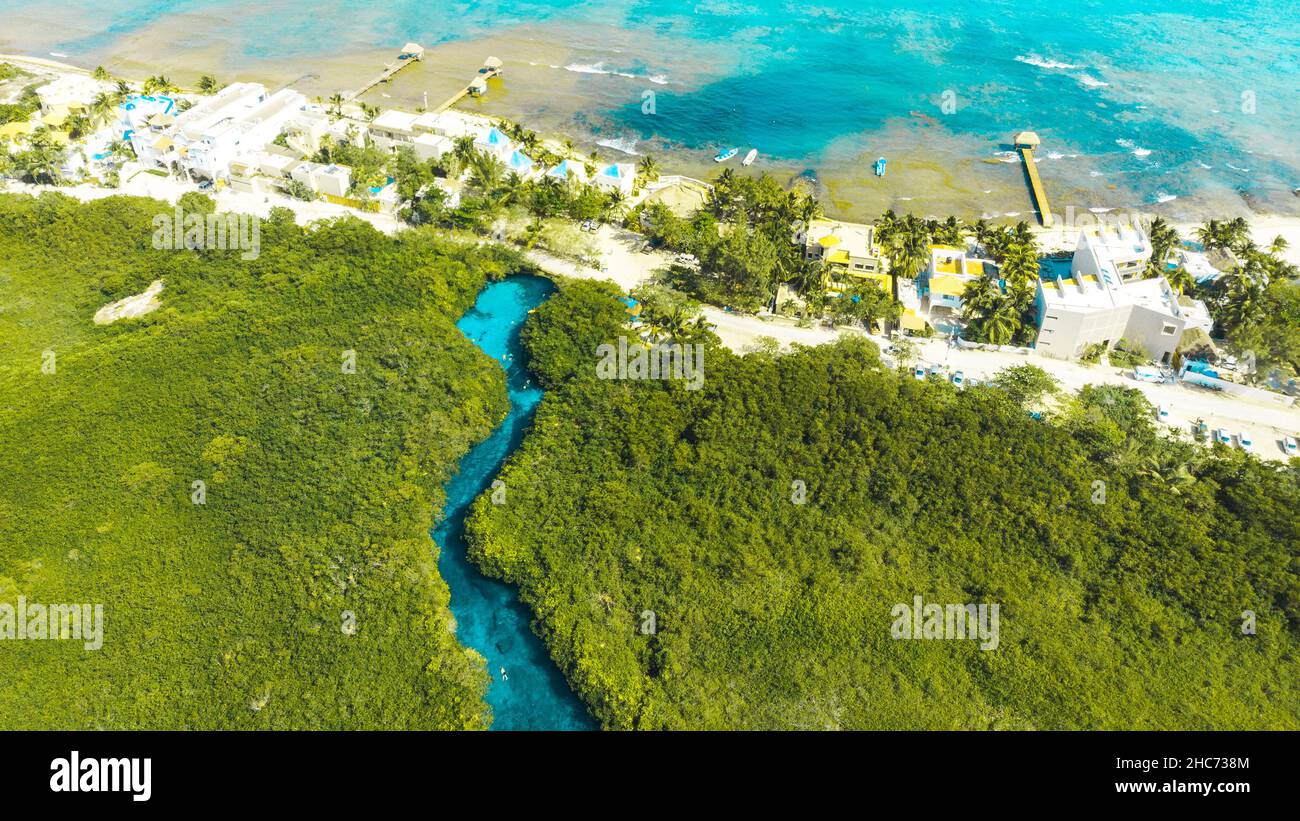 Casa - l'un des plus célèbres Cenotes au Mexique. Des couleurs claires et une grande variété de poissons vivant dans les Cénotes. Banque D'Images