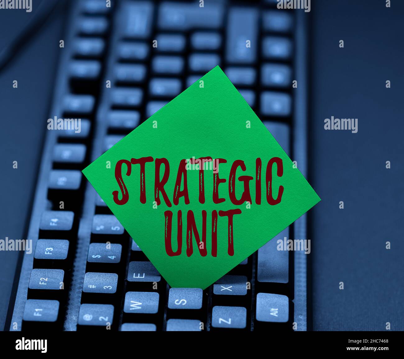 Affiche de texte indiquant l'unité stratégique.Centre de profit de concept Internet axé sur l'offre de produits et le segment de marché.Pratique de la précision de la saisie rapide Banque D'Images
