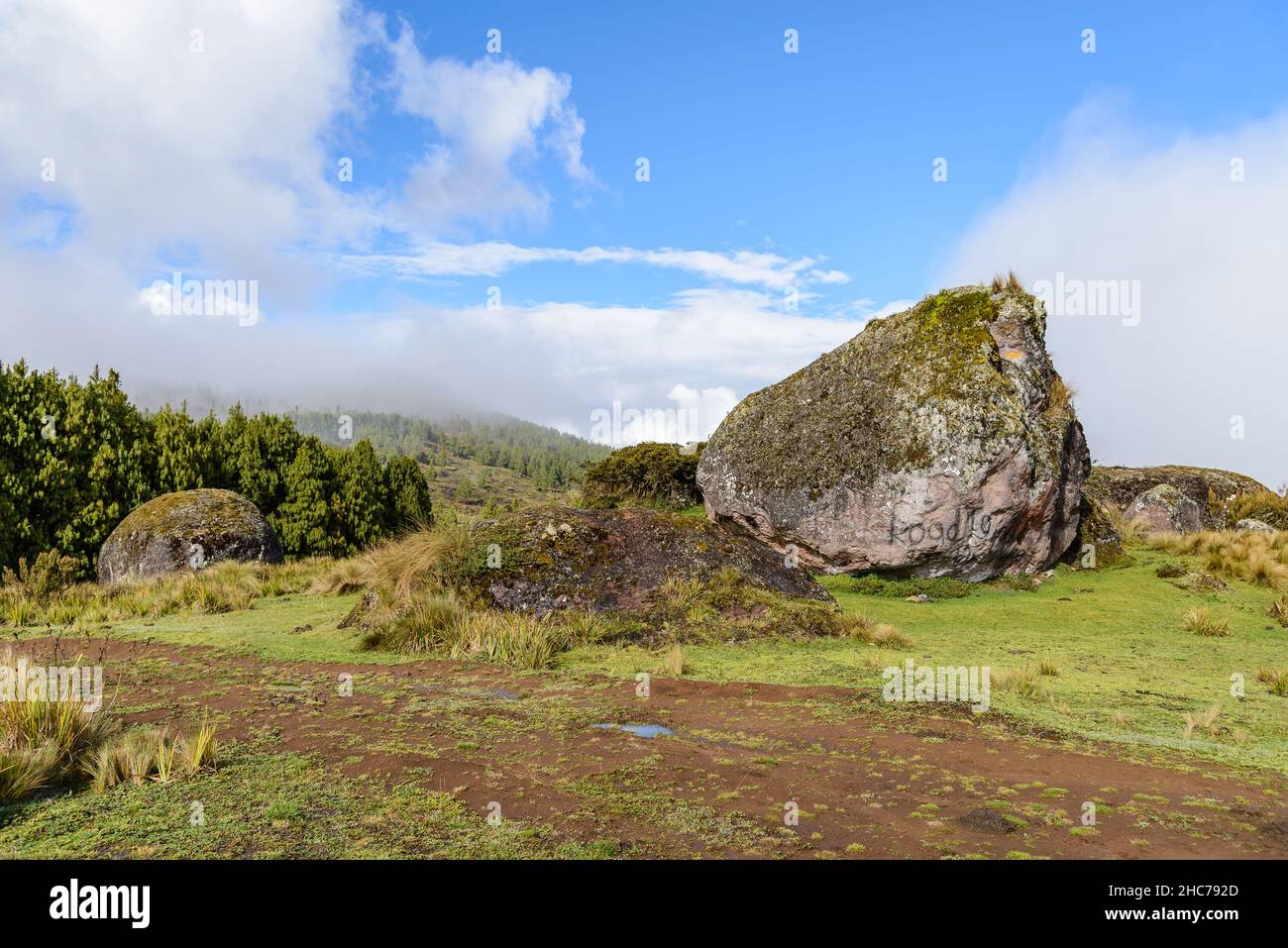 Grands blocs d'erratiques glaciaires dans les hautes montagnes des Andes.Zaruma, Équateur, Amérique du Sud. Banque D'Images