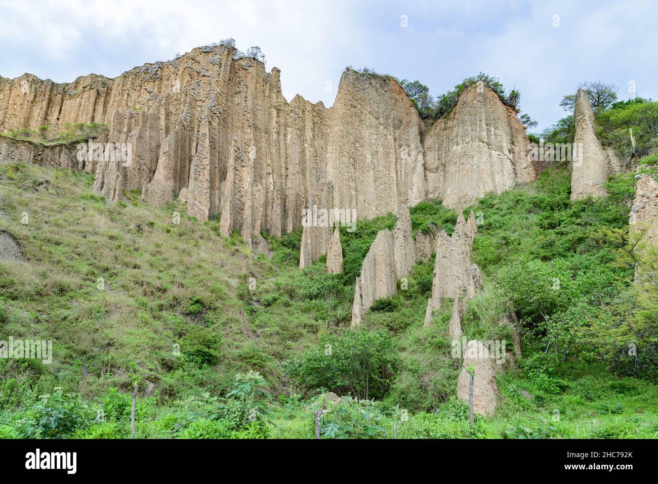 L'érosion a entraîné un paysage accidenté de roches sédimentaires.Parc national de Podocarpus, Yangana, Loja, Equateur, Amérique du Sud. Banque D'Images