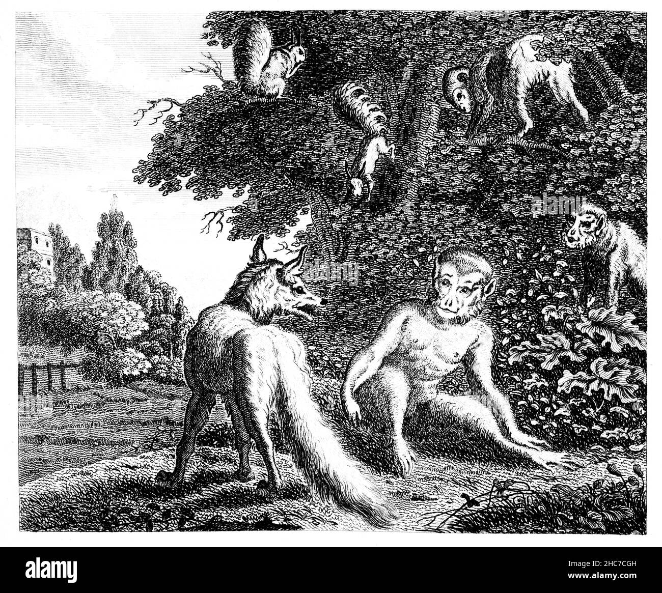 L'illustration gravée des singes et du renard, avec la morale, ceux qui aspirent à gouverner, doivent d'abord apprendre, à se gouverner eux-mêmes, à partir de 1793 première Editio Banque D'Images