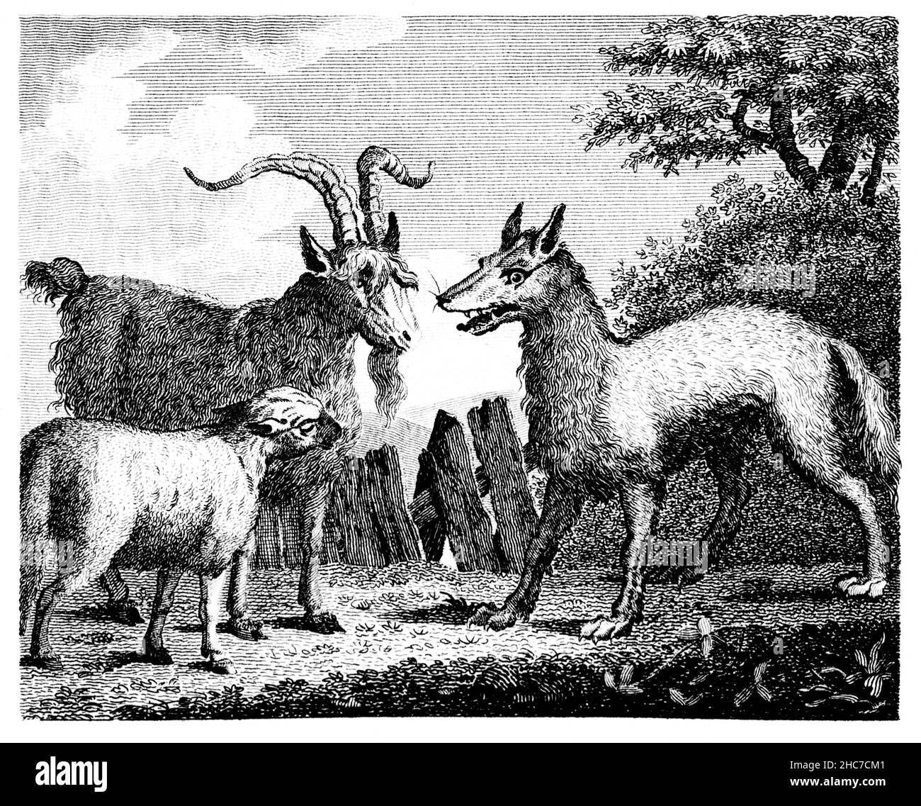 Illustration gravée du Loup, de l’Agneau et du Goat, une histoire de reconnaissance d’une fausse attraction, tirée de la première édition de 1793 de la Fab de Stockdale’s Aesop Banque D'Images