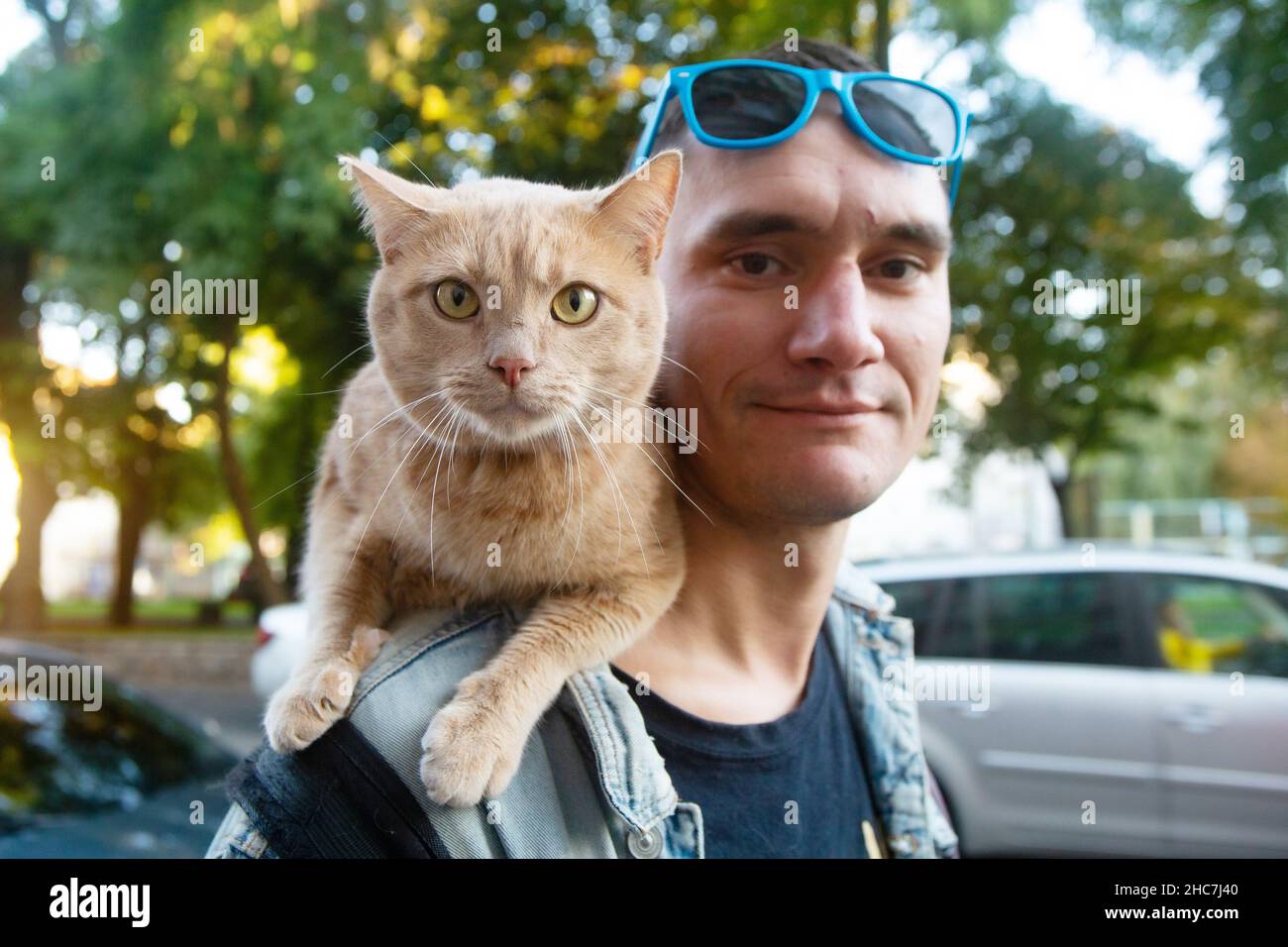 Chat de gingembre adulte regardant directement dans la caméra tout en étant assis sur l'épaule de son ami, jeune ukrainien sur la rue à Kiev Banque D'Images