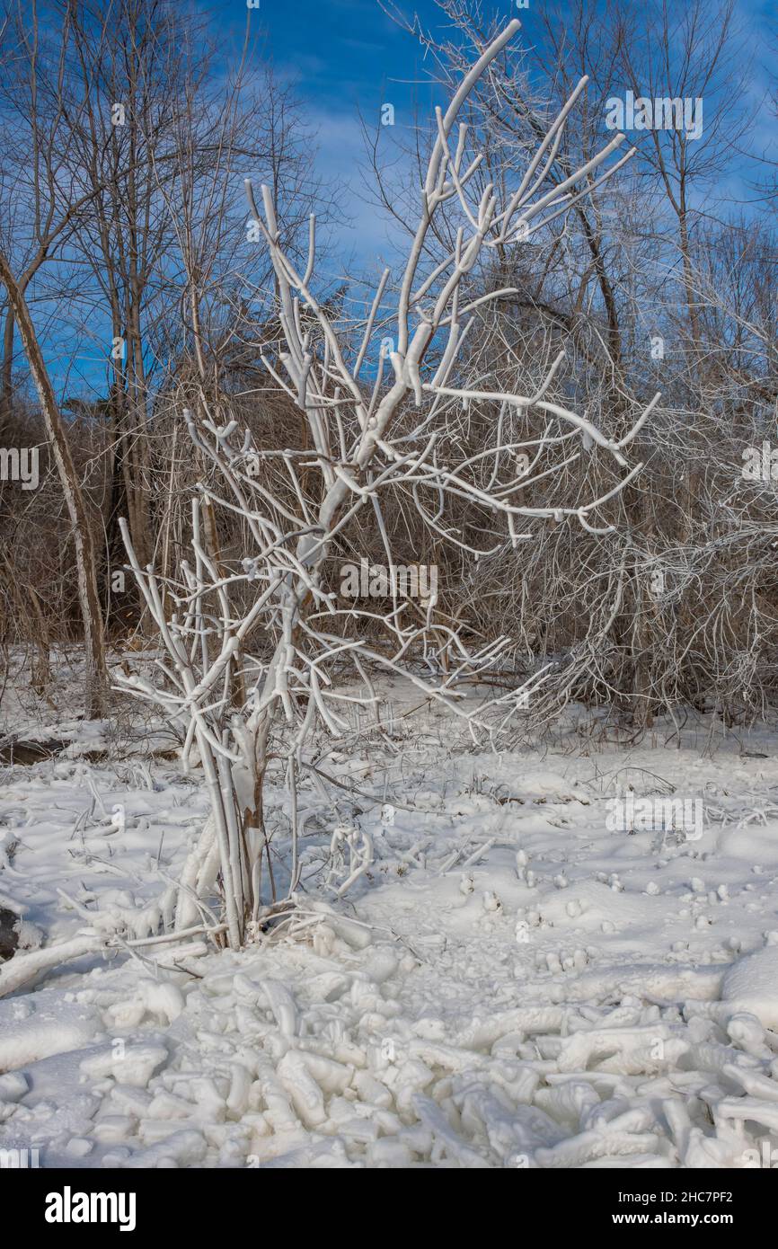 Healey Falls Havelock Ontario Canada en hiver Banque D'Images