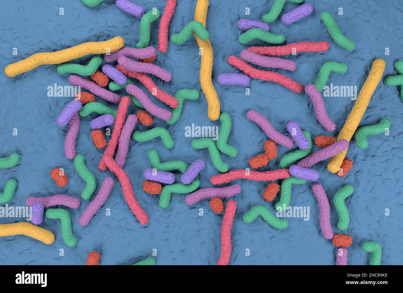 Illustration de la vue de dessus du champ des bactéries probiotiques 3D Banque D'Images