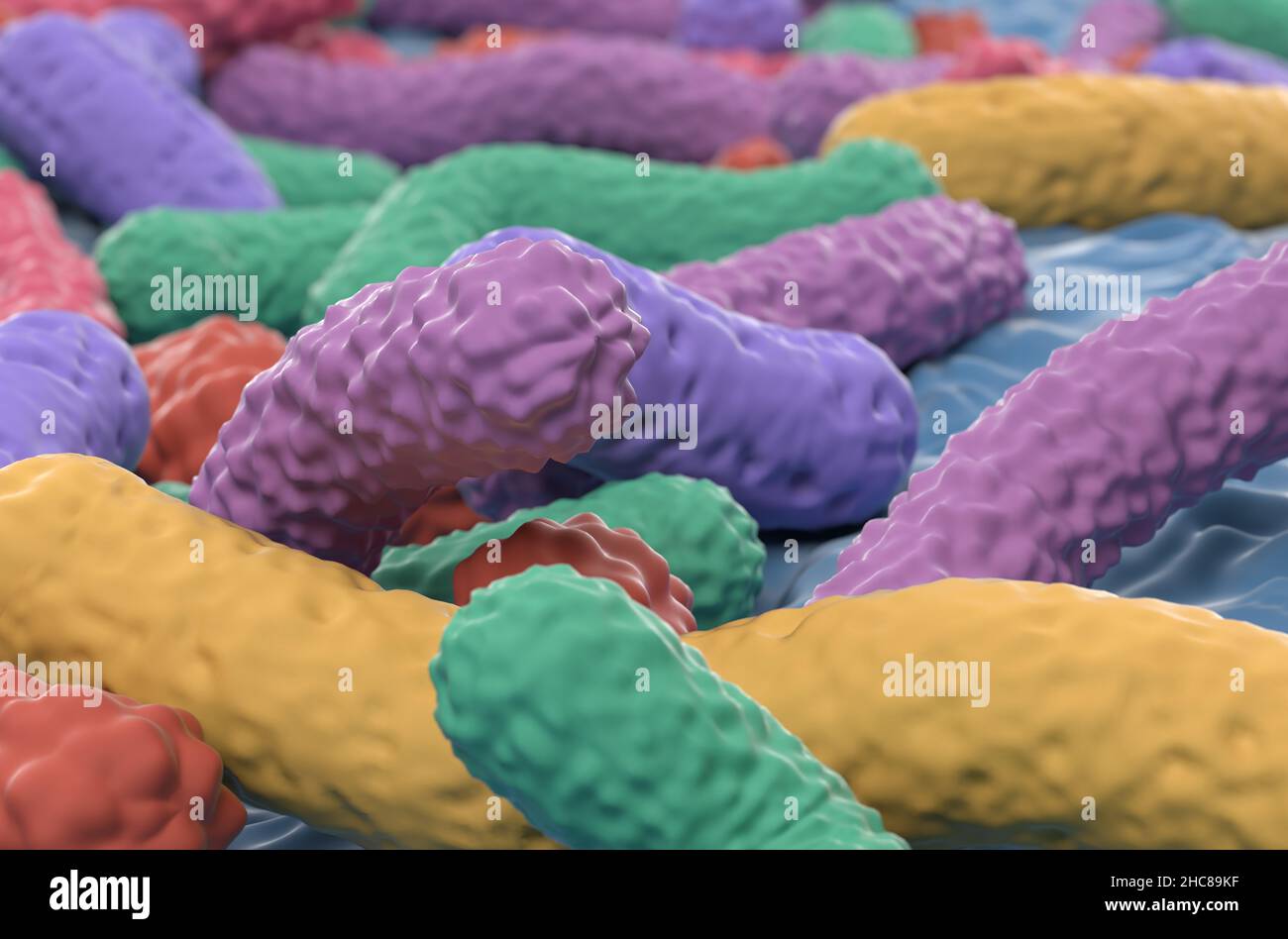 Illustration de la vue rapprochée du champ des bactéries probiotiques 3D Banque D'Images