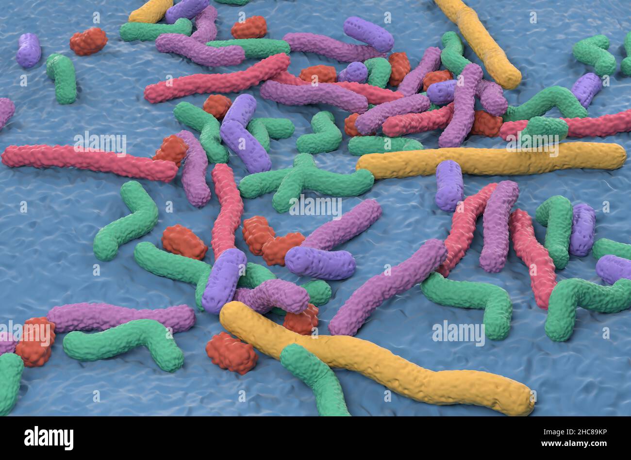 Illustration de la vue isométrique du champ de bactéries probiotiques 3D Banque D'Images