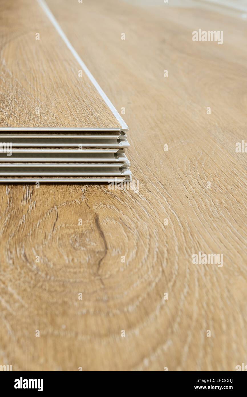 Cliquez sur plancher en vinyle pour vous installer dans le salon d'un appartement Banque D'Images