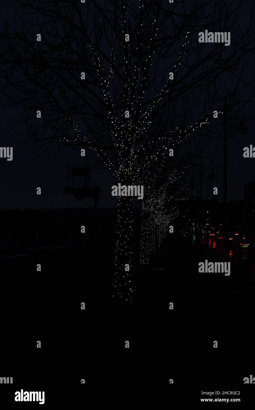 Lumières d’arbre Banque D'Images
