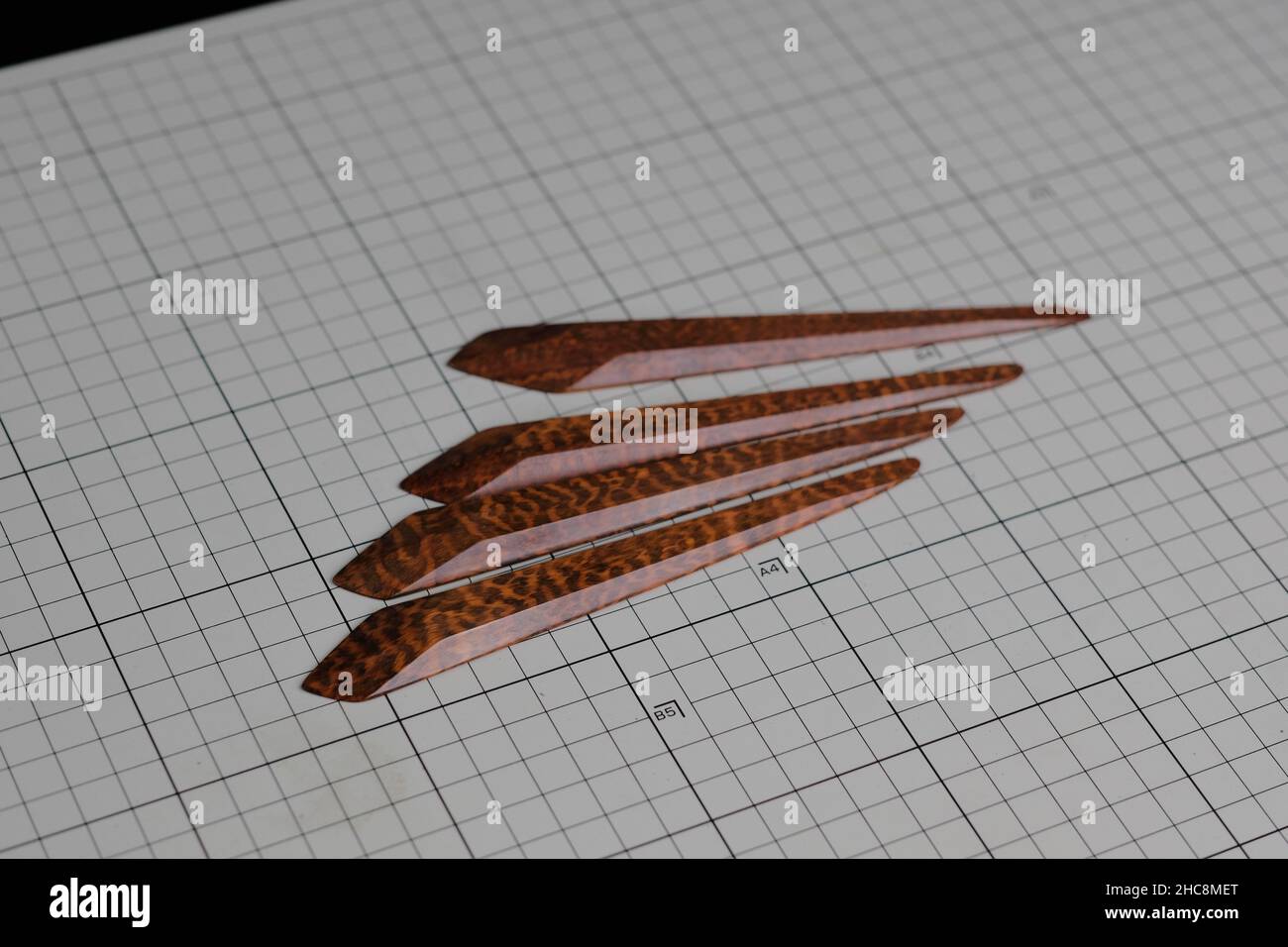 Outil Tanner. Banque D'Images