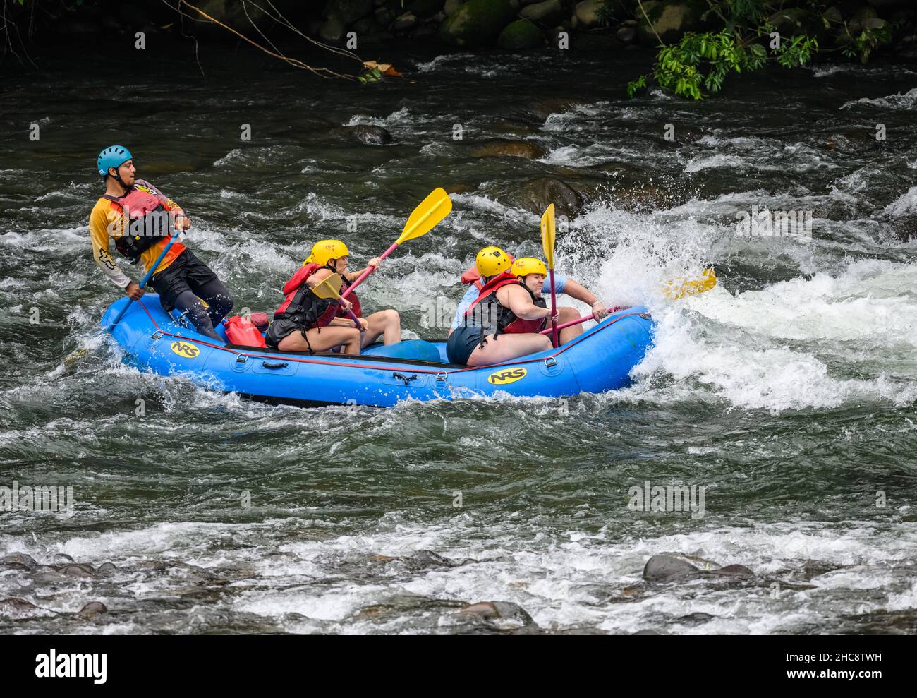 Un groupe de touristes rafting en eau vive dans la rivière Sarapiqui.Heredia, Costa Rica. Banque D'Images