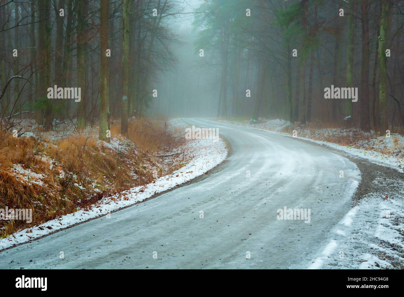 Route de gravier glacée à travers une forêt brumeuse, Noviny, Pologne Banque D'Images
