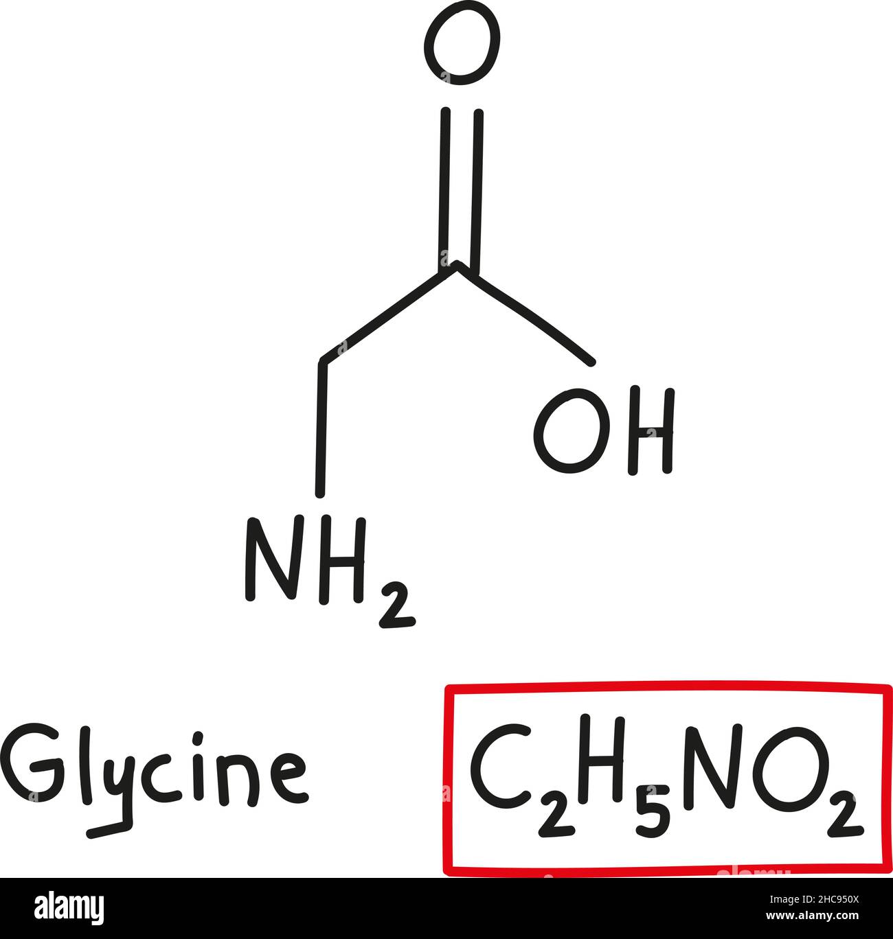 Formule moléculaire chimique dessinée à la main de glycine d'acides aminés dans le style de l'oodle isolé. Illustration de Vecteur