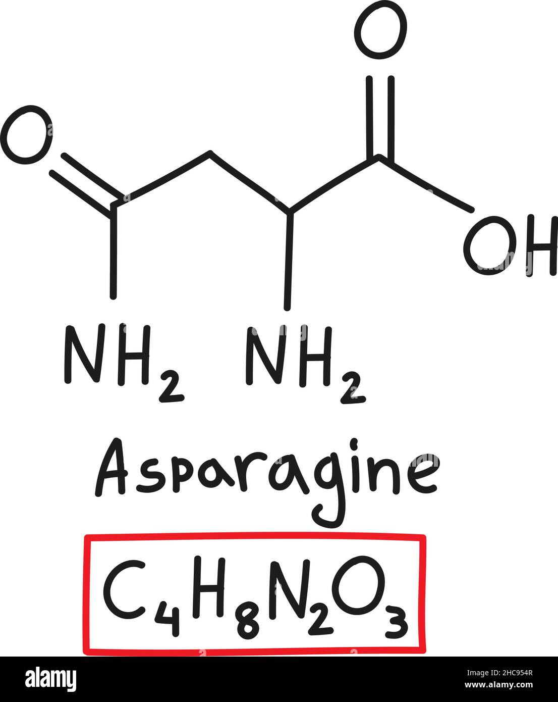 Formule moléculaire chimique dessinée à la main d'asparagine d'acide aminé dans le style de l'oodle isolé. Illustration de Vecteur