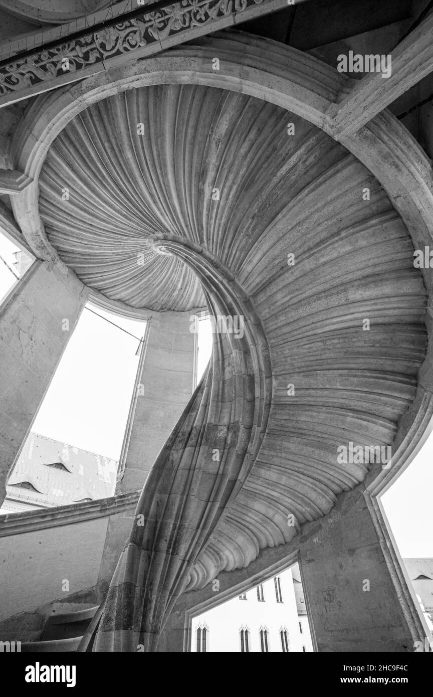 Échelle de gris, prise de vue en bas angle d'un escalier en spirale Banque D'Images
