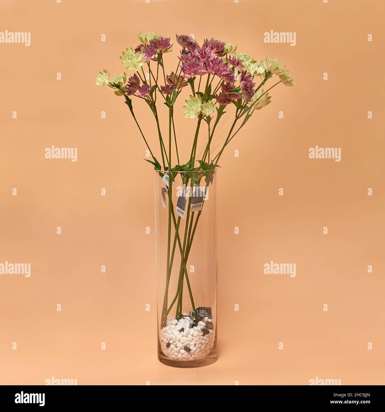 Vase en céramique décoratif.Belle disposition florale de af plante artificielle dans pot de fleur.Intérieur élégant et design d'intérieur Banque D'Images