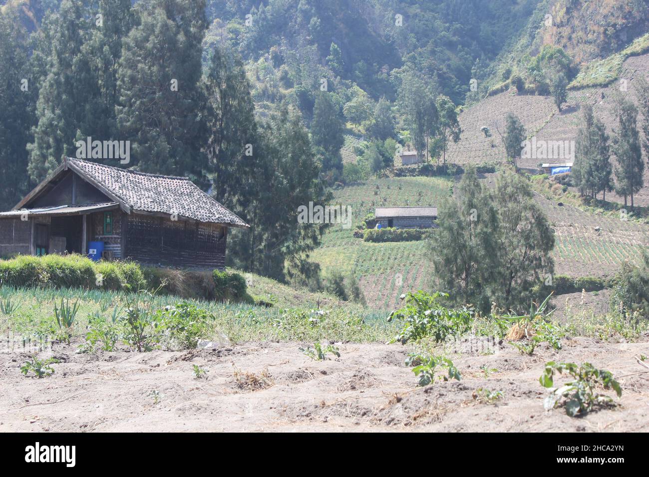 Vue sur le parc national de Bromo Tengger Semeru vu de Seruni point, l'une des destinations touristiques du parc Banque D'Images