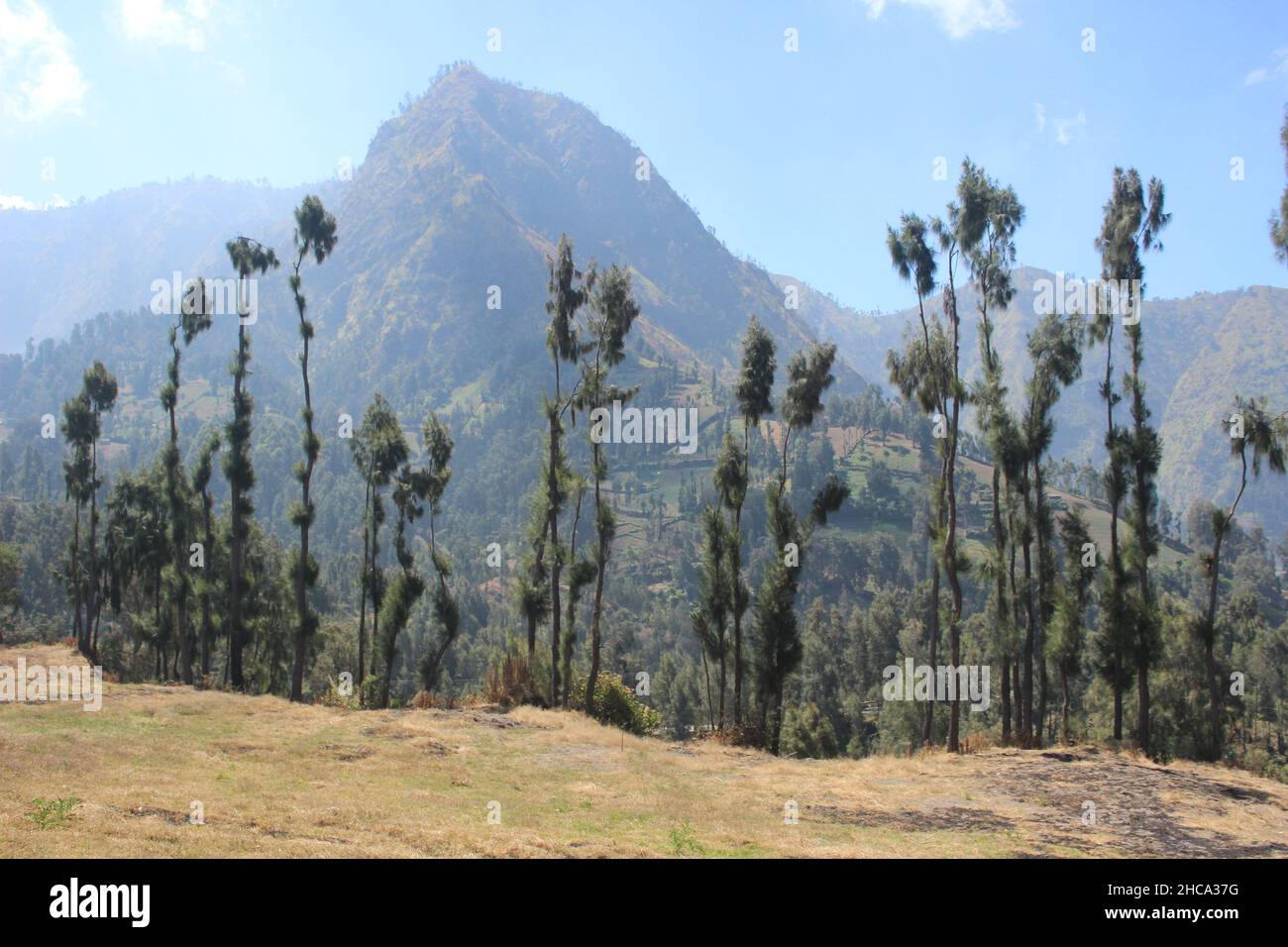 Vue sur le parc national de Bromo Tengger Semeru vu de Seruni point, l'une des destinations touristiques du parc Banque D'Images