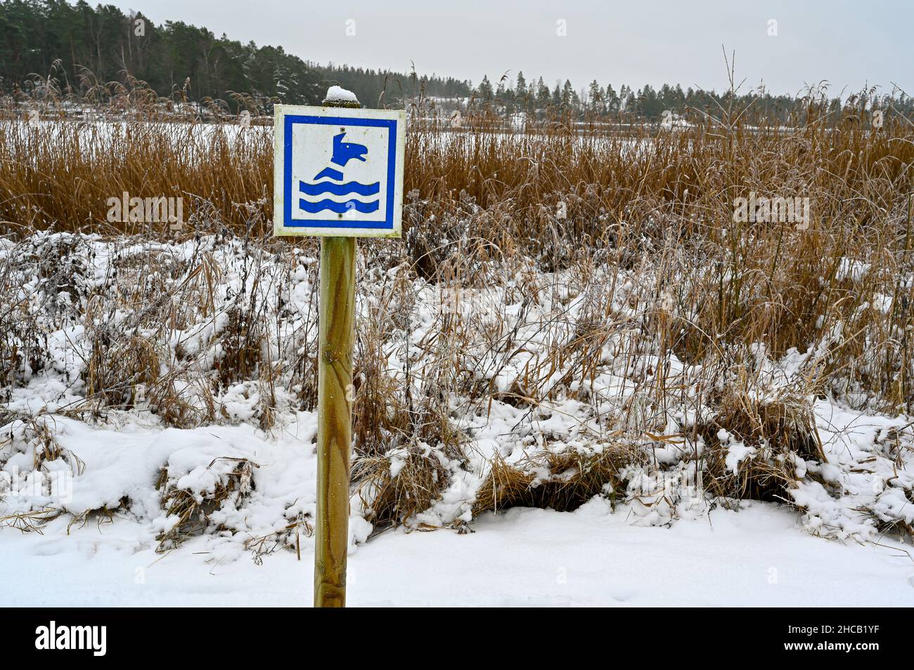 affiche indiquant le lieu de baignade pour les chiens Banque D'Images